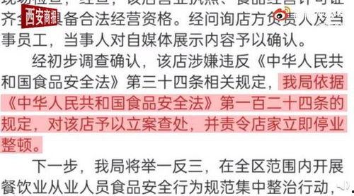 草字研究爆料视频,揭秘古代文字演变与奥秘  第2张